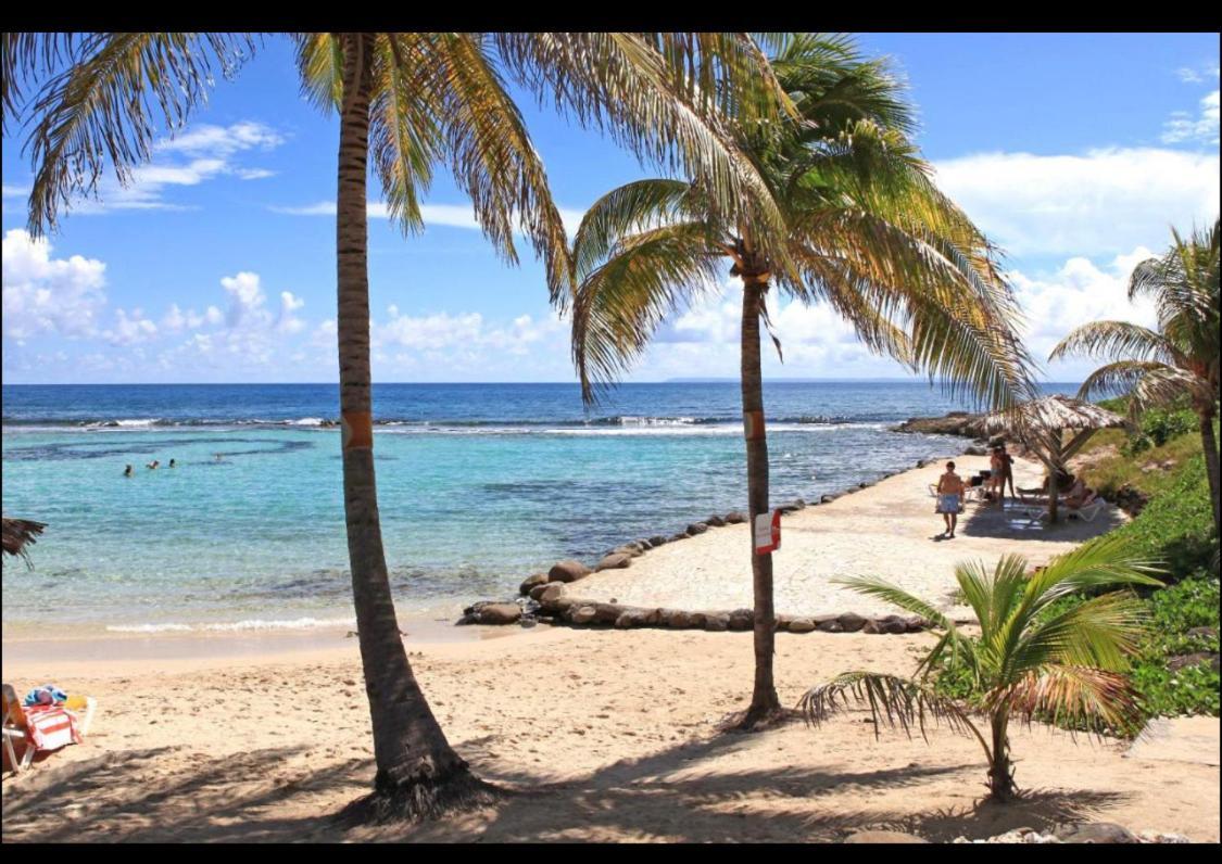 Gwada Cocoon & Blue Lagoon, 2 Studios Cote A Cote Au Manganao A St Francois & Choisissez Le Plus Adapte แซงต์-ฟรองซัวส์ ภายนอก รูปภาพ